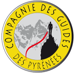 logo cgp 150 jaune